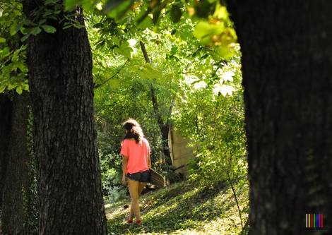 10348527_520197101414704_5484125953605173880_n (1)