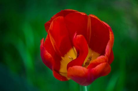 11403425_951806454851662_3672715117679116324_n