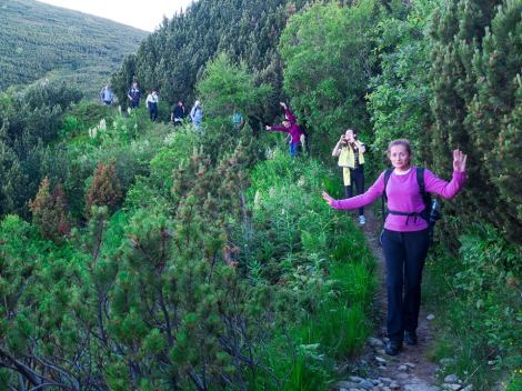 20105_975028209196153_1078430319594783113_n