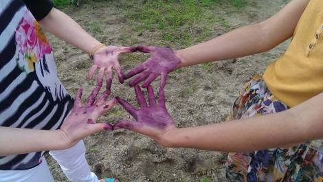 11720121_10153598384389574_354574446_n