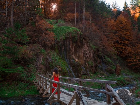 12376470_967625806640299_259948363679206935_n