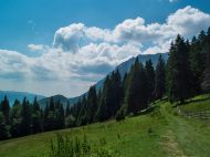 11873790_1025032010863087_8141145555629109402_n