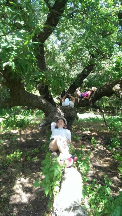 13495237_1170411176324521_4678327530495262933_n