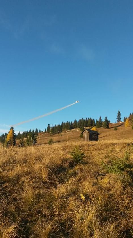 12249732_1072964729403148_2984280543268267719_n