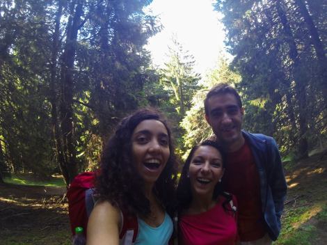 14095858_1264131736953112_2117275116611032802_n