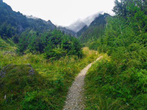 14117908_1264123023620650_5329913476012591243_n