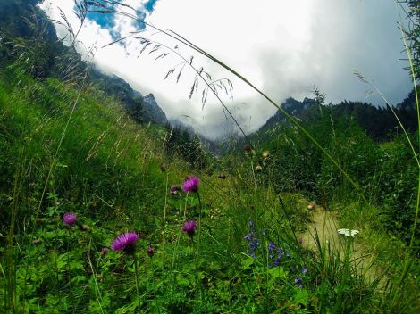 14199567_1264122700287349_4595330078518953848_n