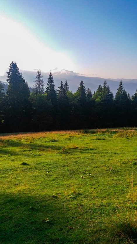 14212674_1264131040286515_3390068526831945210_n