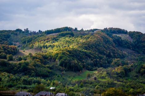 14642472_1111903335561422_819694073764057684_n