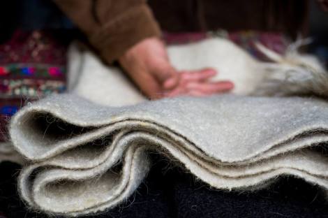 14671356_1111917818893307_4425589334722411584_n