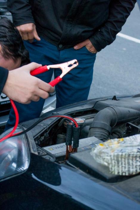 14681732_1111865972231825_830518563892708183_n