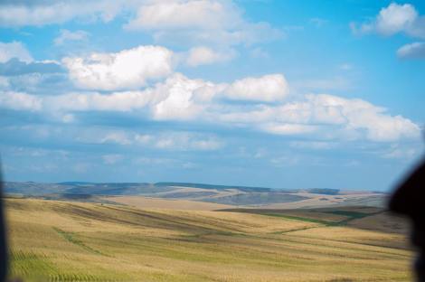 14695608_1111862878898801_5327438949744372790_n