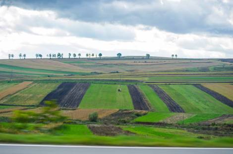 14718664_1111863665565389_6147131925840550706_n