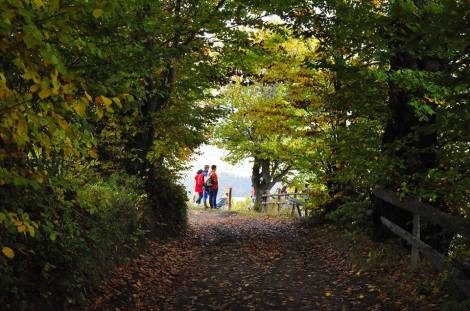 14718728_1278316452200659_4935751183721915413_n