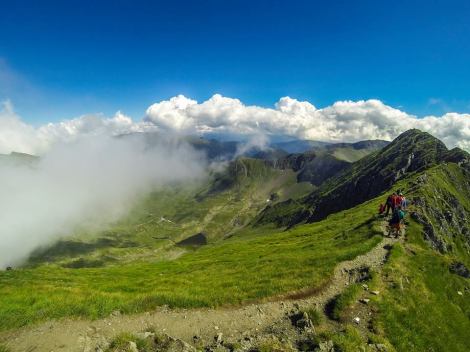 14991812_1138603146224774_2387021962068970085_n