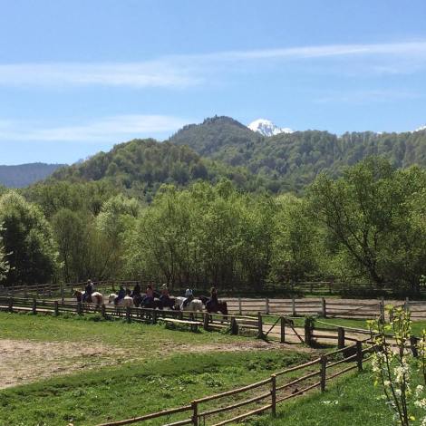 14992024_1138442996240789_6304887611965208932_n