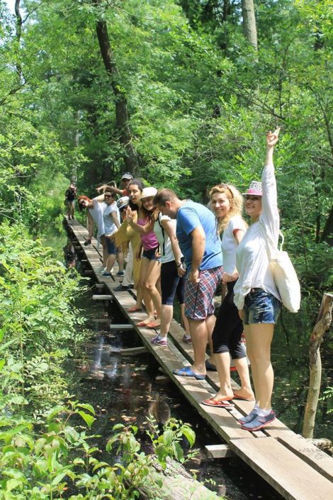 15025562_1138537376231351_3877647468210712682_o