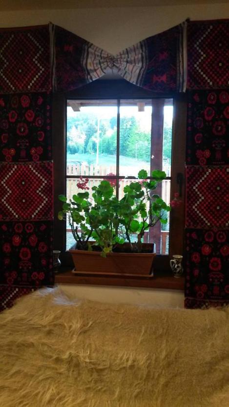 15036226_1138444629573959_7875945292509369826_n