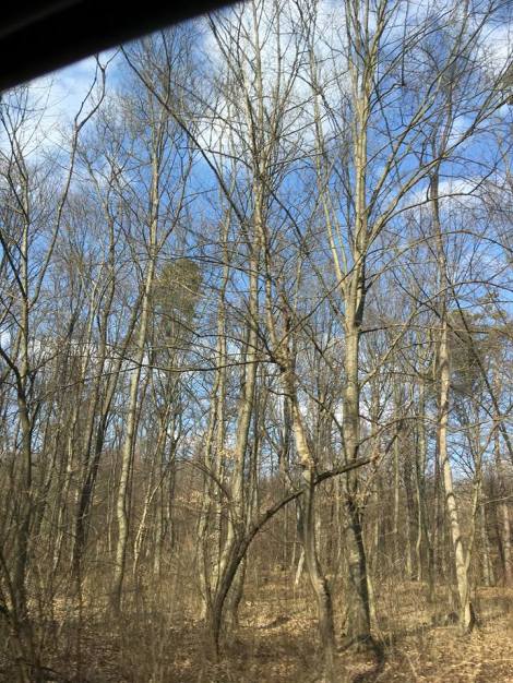 53478448_366023157320543_5283838075150008320_n