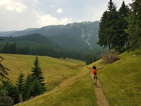 67178406_1927534317346886_7786902907399438336_n