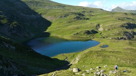 14947947_1138604199558002_6946789697501613483_n