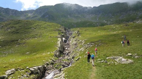 15055764_1138602246224864_810380919040292919_n